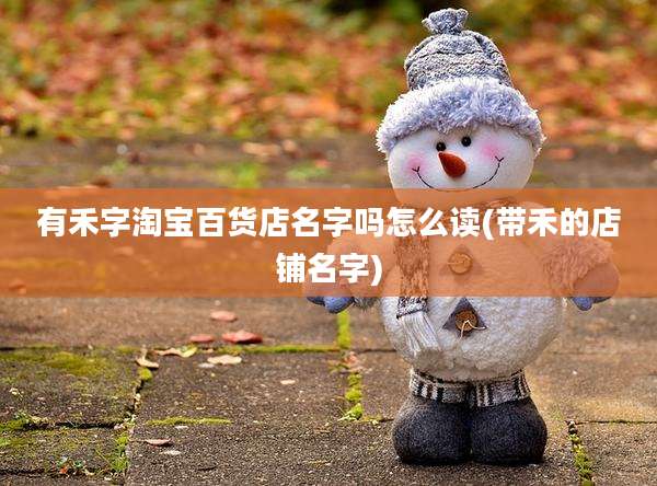 有禾字淘宝百货店名字吗怎么读(带禾的店铺名字)