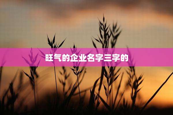 旺气的企业名字三字的