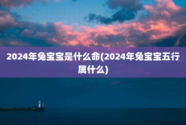 2024年兔宝宝是什么命(2024年兔宝宝五行属什么)