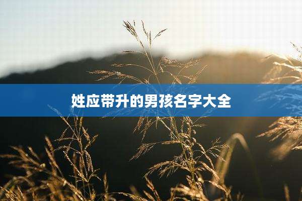 姓应带升的男孩名字大全