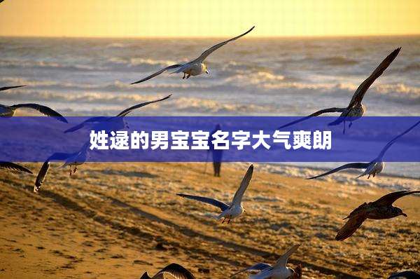 姓逯的男宝宝名字大气爽朗