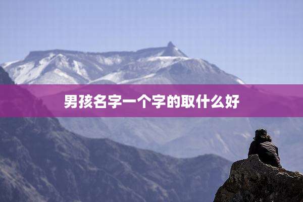 男孩名字一个字的取什么好