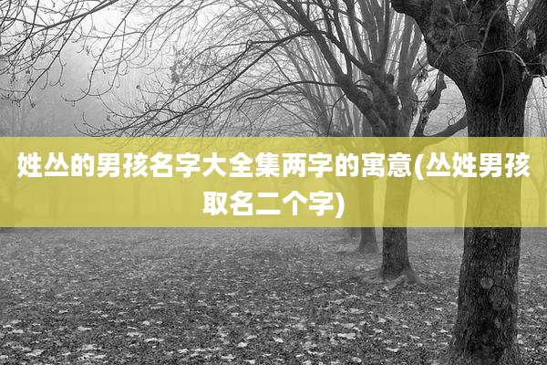 姓丛的男孩名字大全集两字的寓意(丛姓男孩取名二个字)