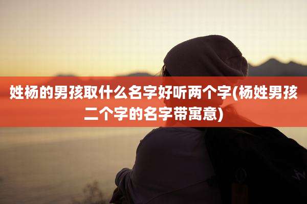 姓杨的男孩取什么名字好听两个字(杨姓男孩二个字的名字带寓意)
