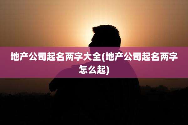 地产公司起名两字大全(地产公司起名两字怎么起)