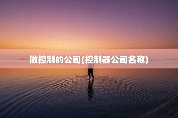 做控制的公司(控制器公司名称)