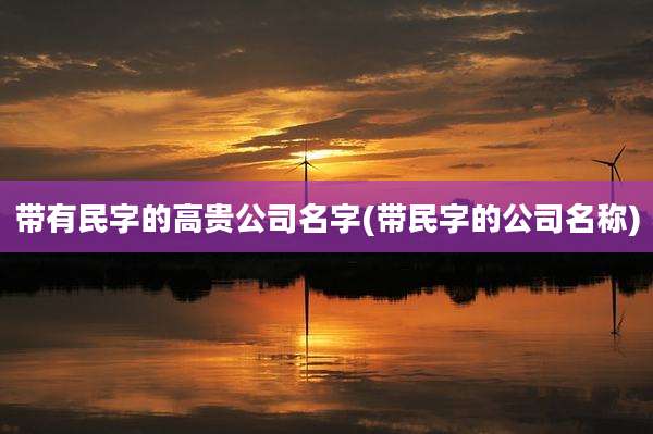 带有民字的高贵公司名字(带民字的公司名称)