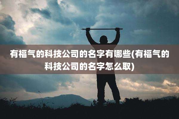 有福气的科技公司的名字有哪些(有福气的科技公司的名字怎么取)