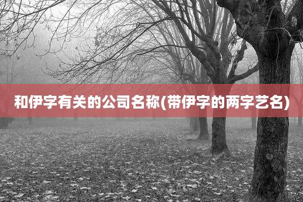 和伊字有关的公司名称(带伊字的两字艺名)