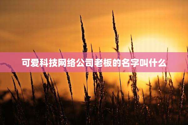 可爱科技网络公司老板的名字叫什么