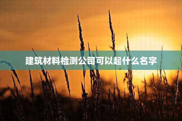 建筑材料检测公司可以起什么名字