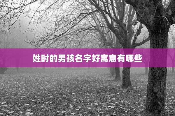 姓时的男孩名字好寓意有哪些