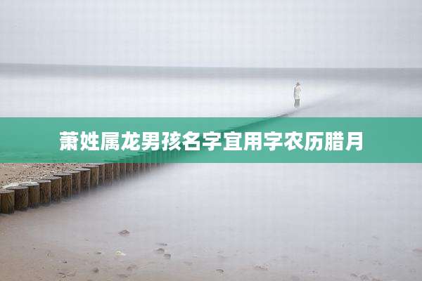 萧姓属龙男孩名字宜用字农历腊月