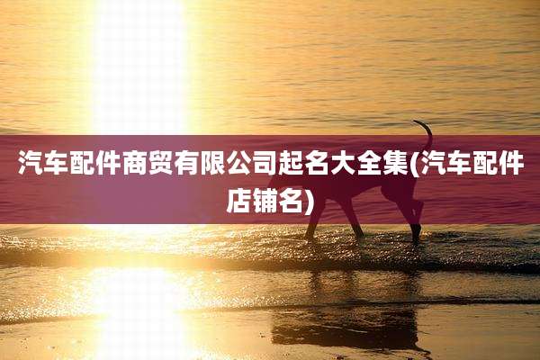 汽车配件商贸有限公司起名大全集(汽车配件店铺名)