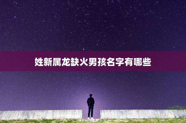 姓新属龙缺火男孩名字有哪些