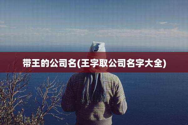 带王的公司名(王字取公司名字大全)