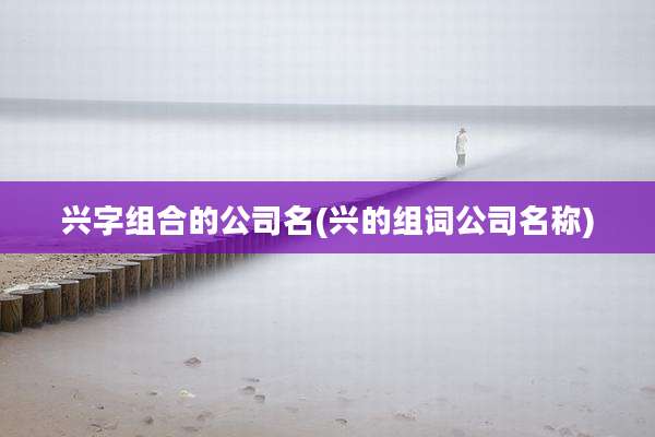 兴字组合的公司名(兴的组词公司名称)