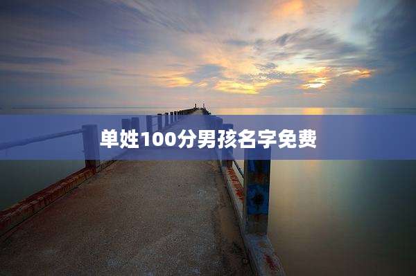 单姓100分男孩名字免费