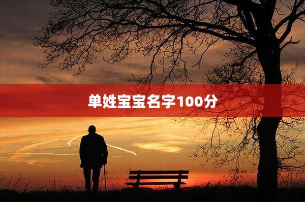 单姓宝宝名字100分