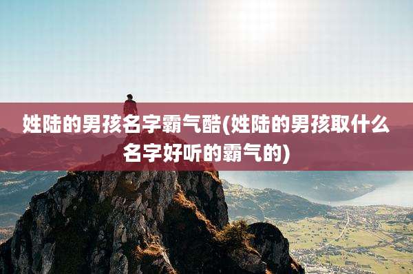 姓陆的男孩名字霸气酷(姓陆的男孩取什么名字好听的霸气的)