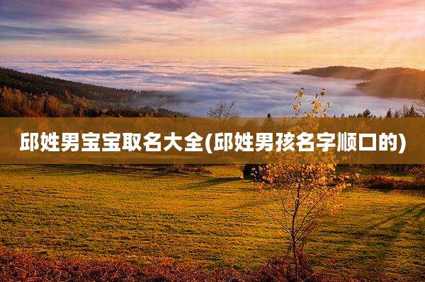 邱姓男宝宝取名大全(邱姓男孩名字顺口的)