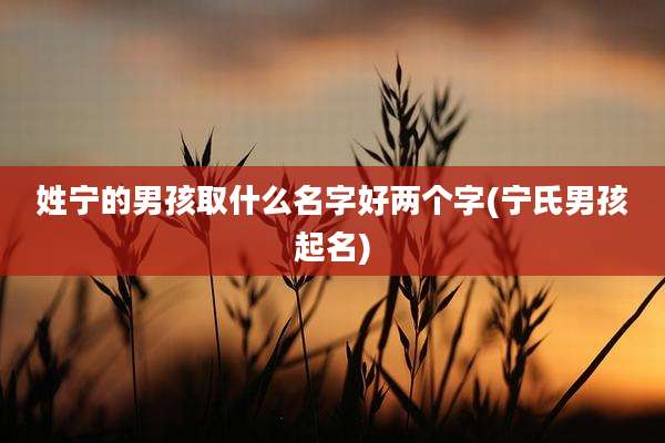 姓宁的男孩取什么名字好两个字(宁氏男孩起名)