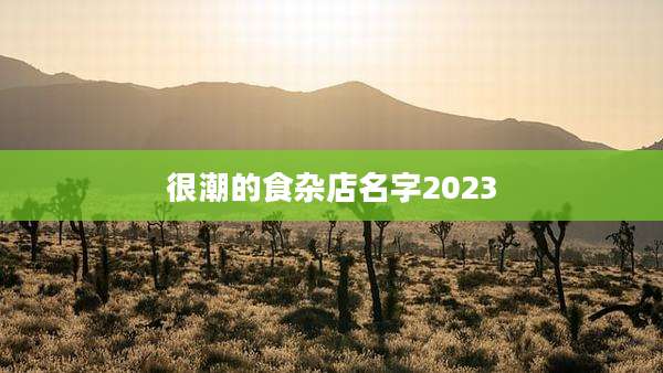 很潮的食杂店名字2023