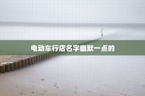 电动车行店名字幽默一点的