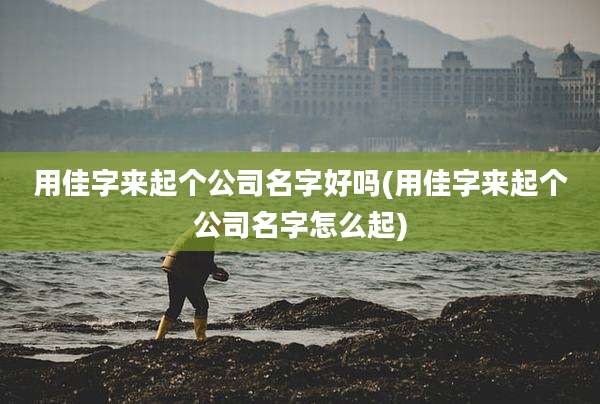 用佳字来起个公司名字好吗(用佳字来起个公司名字怎么起)