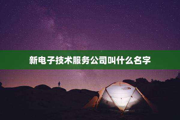 新电子技术服务公司叫什么名字