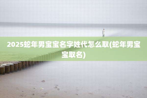 2025蛇年男宝宝名字姓代怎么取(蛇年男宝宝取名)