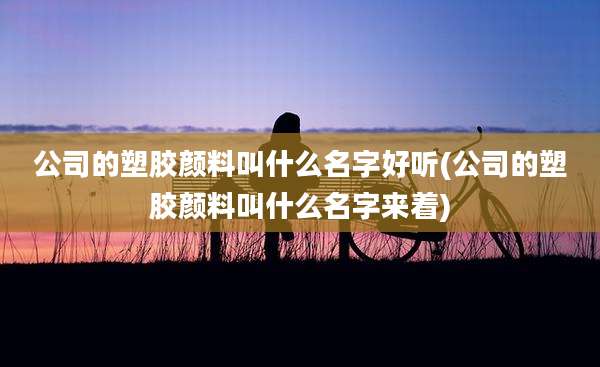 公司的塑胶颜料叫什么名字好听(公司的塑胶颜料叫什么名字来着)