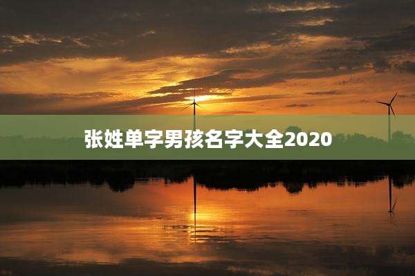 张姓单字男孩名字大全2020