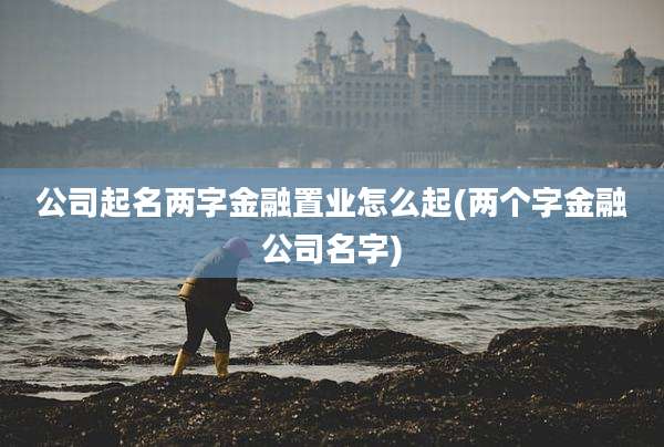 公司起名两字金融置业怎么起(两个字金融公司名字)