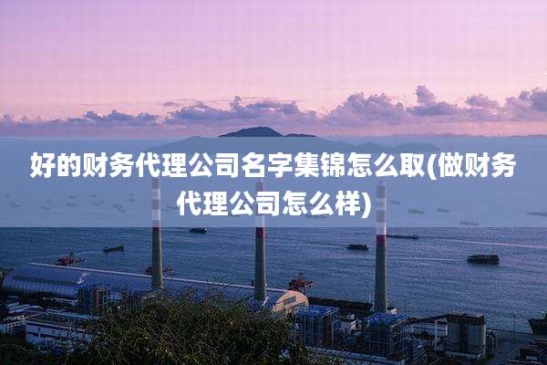 好的财务代理公司名字集锦怎么取(做财务代理公司怎么样)