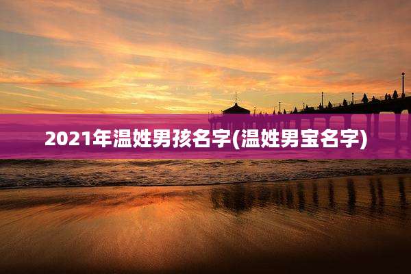 2021年温姓男孩名字(温姓男宝名字)
