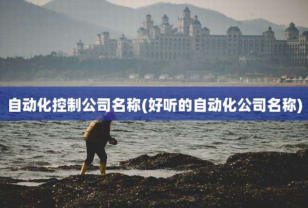 自动化控制公司名称(好听的自动化公司名称)