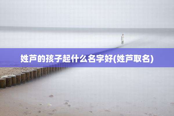 姓芦的孩子起什么名字好(姓芦取名)