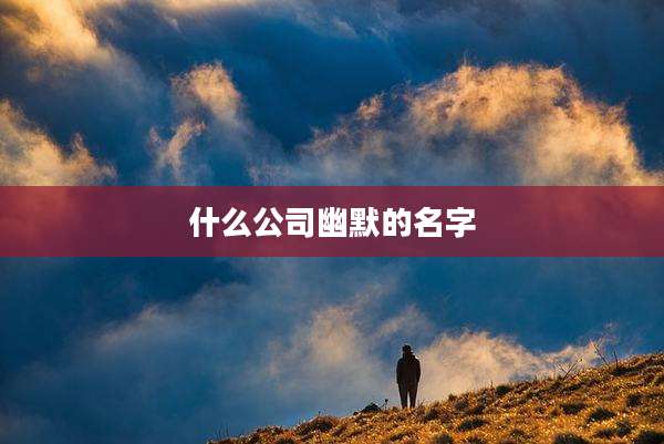 什么公司幽默的名字