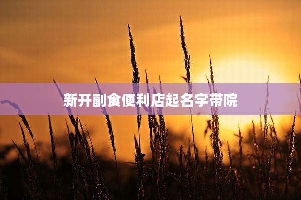 新开副食便利店起名字带院