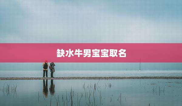 缺水牛男宝宝取名