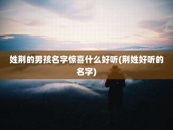 姓荆的男孩名字惊喜什么好听(荆姓好听的名字)