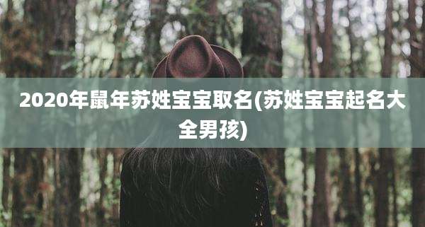 2020年鼠年苏姓宝宝取名(苏姓宝宝起名大全男孩)