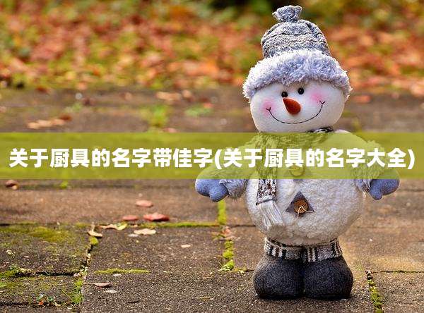关于厨具的名字带佳字(关于厨具的名字大全)