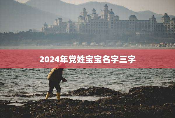 2024年党姓宝宝名字三字