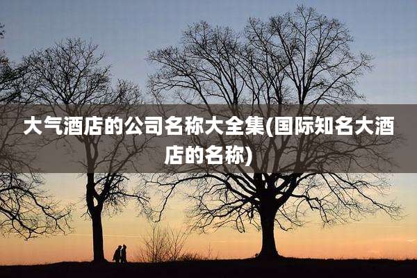 大气酒店的公司名称大全集(国际知名大酒店的名称)