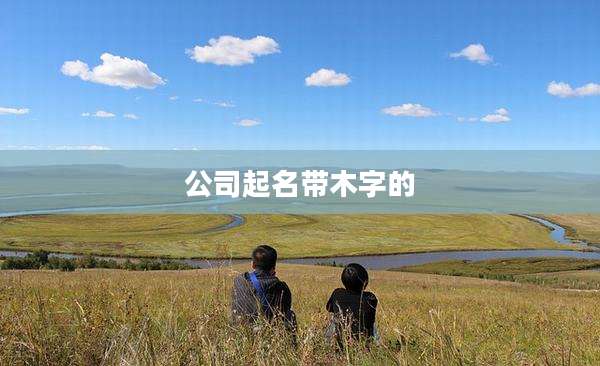 公司起名带木字的