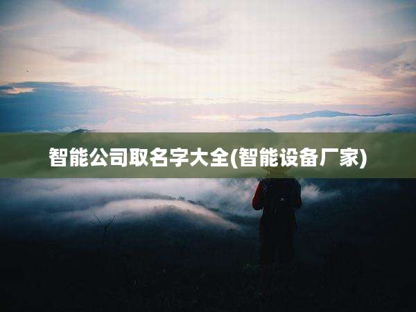 智能公司取名字大全(智能设备厂家)