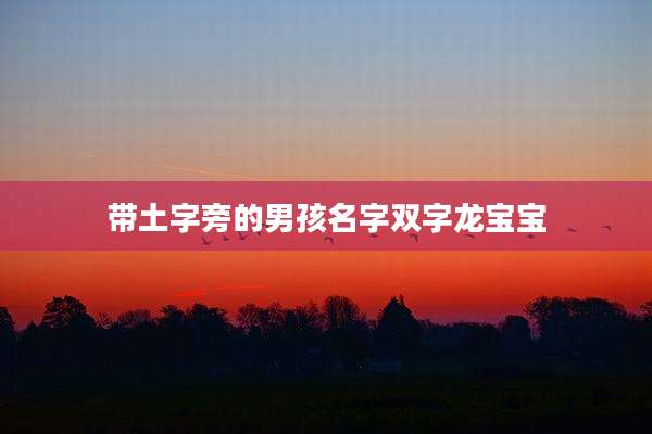 带土字旁的男孩名字双字龙宝宝