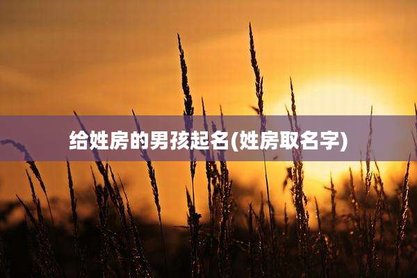 给姓房的男孩起名(姓房取名字)